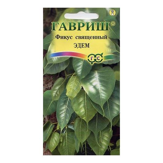Фикус священный Эдем* 0,03 г