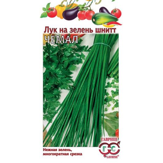 Лук шнитт Чемал, на зелень 0,5 г