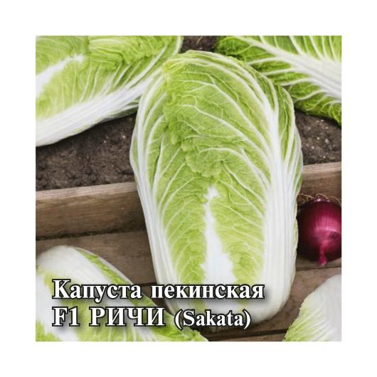 Капуста пекинская Ричи F1 250 шт. (Саката)