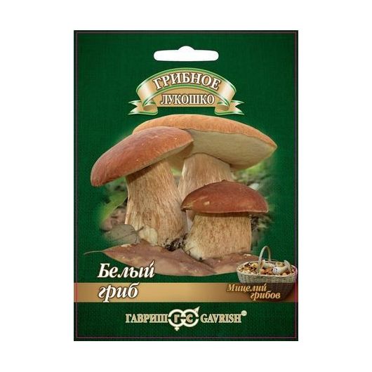 Белый гриб на зерновом субстрате, больш. пак. 15 мл