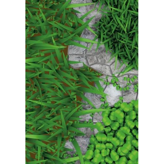 Овес посевной Друг (сидерат) 0,5 кг