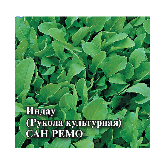 Индау (рукола культурная) Сан Ремо 25,0 г