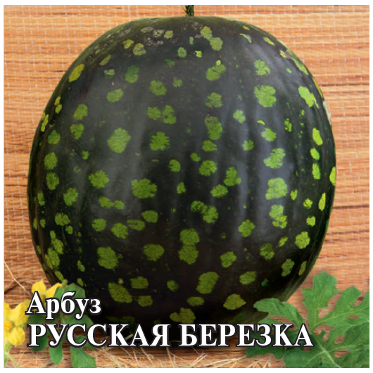 Арбуз Русская березка 50 г