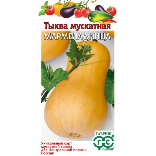 Тыква Мармеладница, мускатная  25,0 г