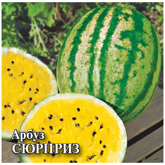 Арбуз Сюрприз 100 г с желтой мякотью