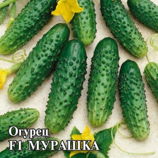 Огурец Мурашка F1 250 шт. корнишон