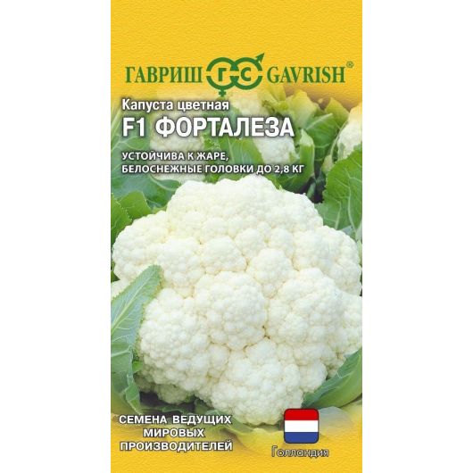 Капуста цветная Форталеза F1 10 шт. (Голландия)