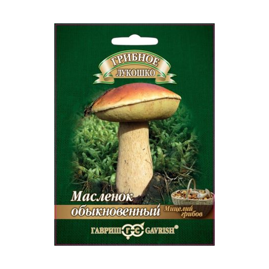 Масленок на зерновом субстрате, больш. пак. 15 мл