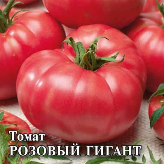 Томат Розовый Гигант 25,0 г