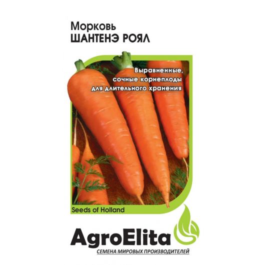Морковь Шантенэ Роял 1,0 г (BS) Агроэлита