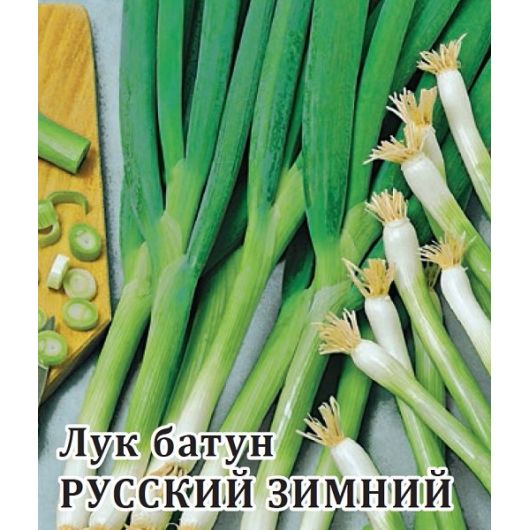 Лук батун Русский зимний 10,0 г