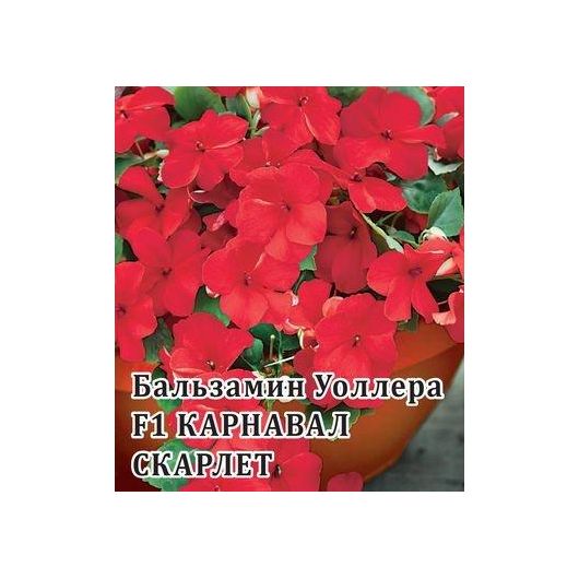 Бальзамин Карнавал Скарлет F1 (Уоллера) 100 шт.*  сер. Профи