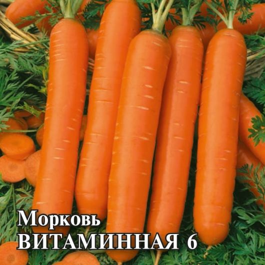 Морковь Витаминная 6 25,0 г