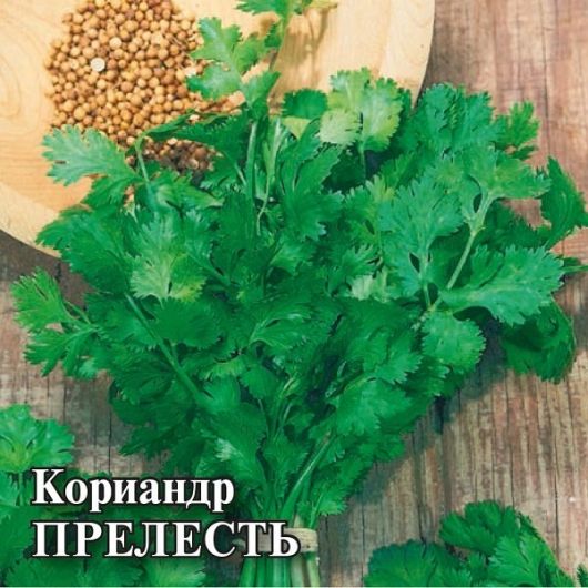 Кориандр Прелесть 100 г