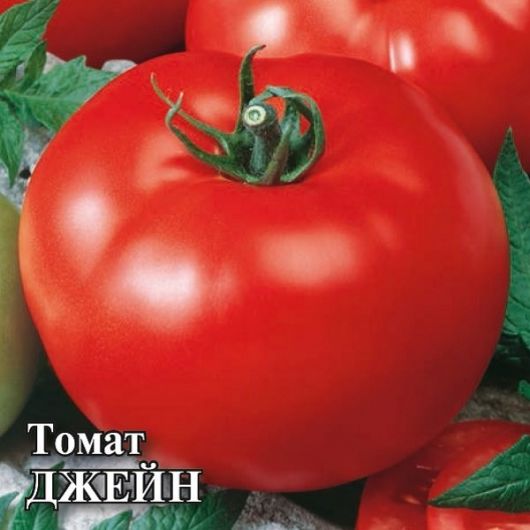 Томат Джейн 25,0 г