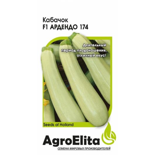 Кабачок Ардендо 174 F1 5 шт (Энза Заден) Агроэлита