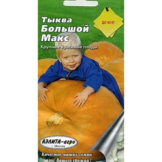 Тыква Большой Макс 1 г Аэлита