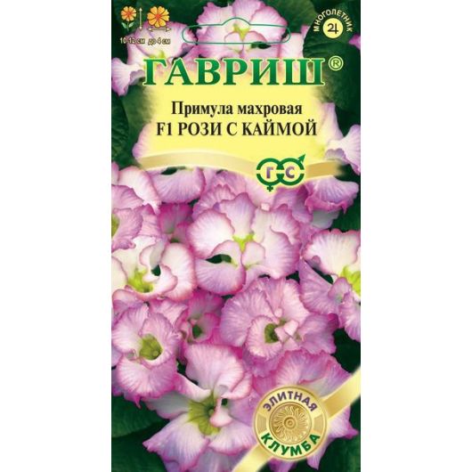 Примула Роззи с каймой, махровая* 3шт. серия Элитная клумба