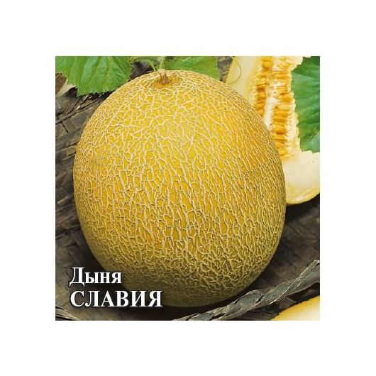 Дыня Славия 25 г
