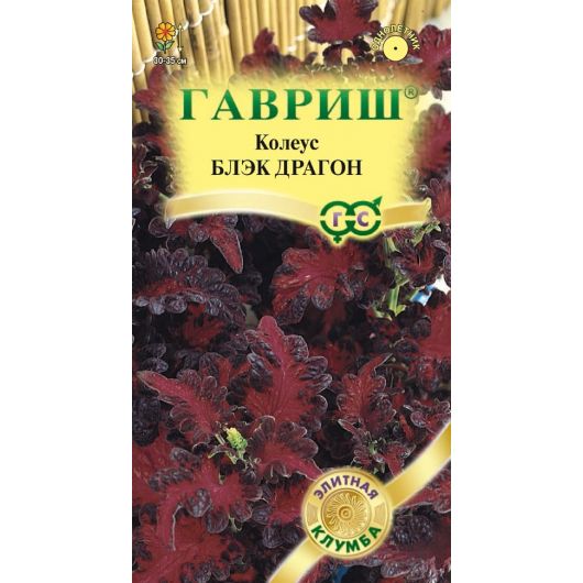 Колеус Блэк Драгон* 5 шт. Элитная клумба