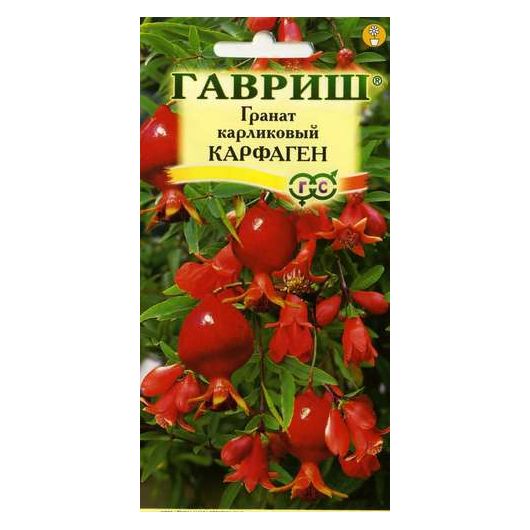 Гранат карликовый Карфаген* 5 шт