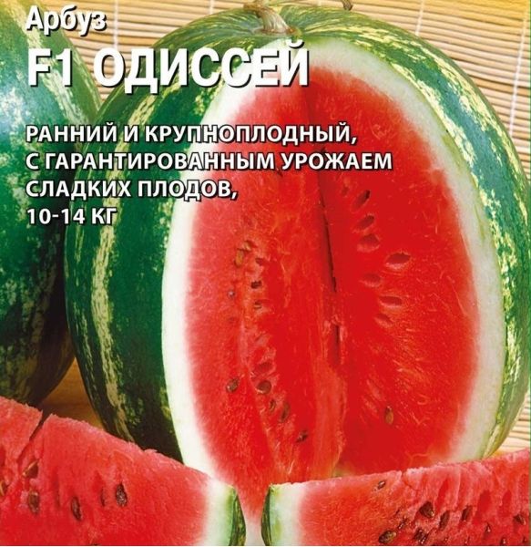 Семена Арбуз Одиссей F1 50 шт