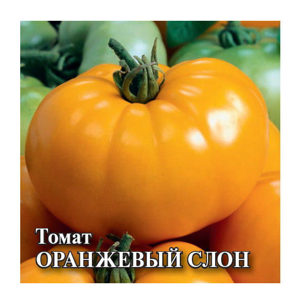 Томат Оранжевый слон 5,0 г