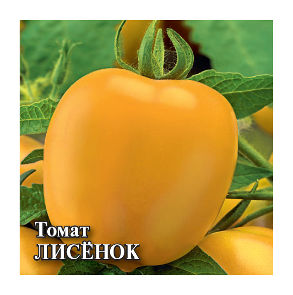 Томат Лисенок 5,0 г
