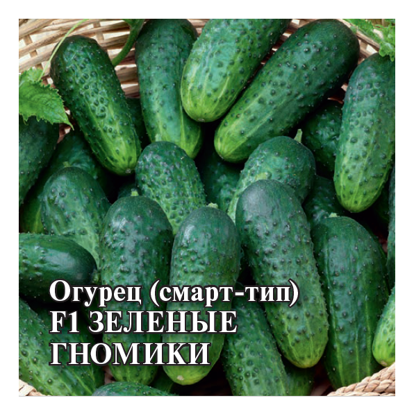 Семена Огурец Зеленые гномики F1 100 шт.