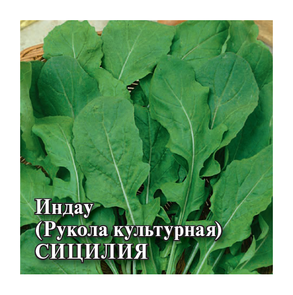 Семена Индау рукола культурная Сицилия 25 г