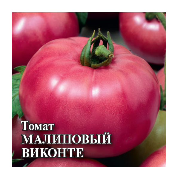 Томат Малиновый виконте 5,0 г