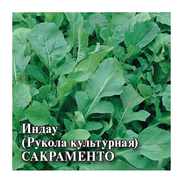 Семена Индау рукола культурная Сакраменто 25 г