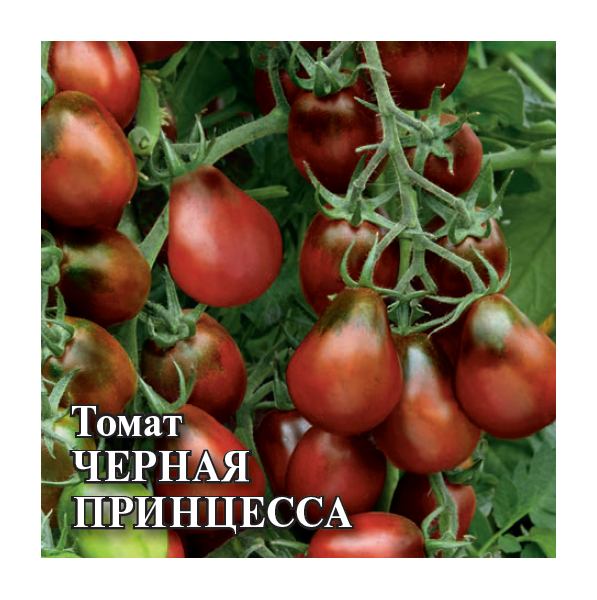 Томат Черная Принцесса 5,0 г