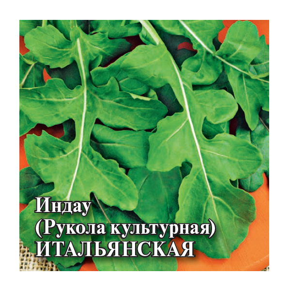 Семена Индау рукола культурная Итальянская 25 г
