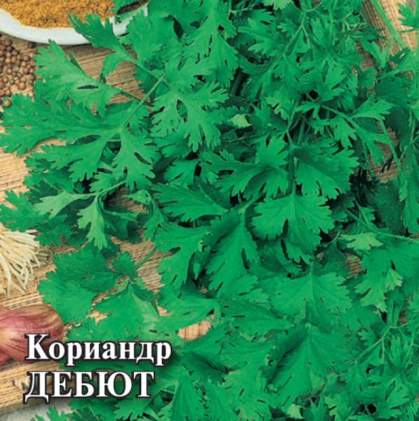 Семена Кориандр Дебют 1 кг