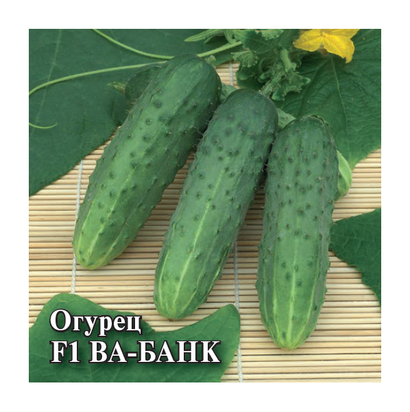 Семена Огурец Ва-Банк F1 250 шт