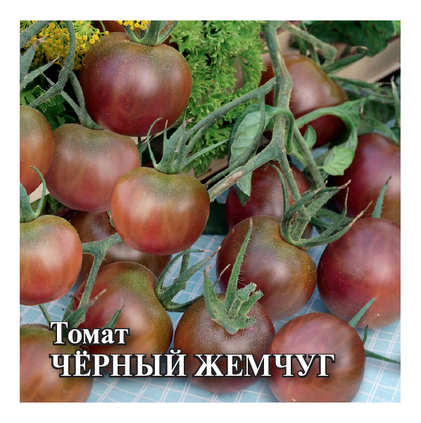 Томат Черный жемчуг 5,0 г