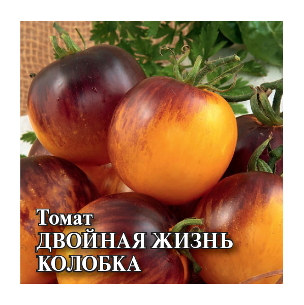 Томат Двойная жизнь колобка (пурпурно-янтарный биколор) 100 шт.