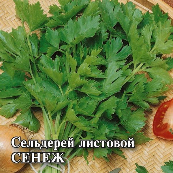 Семена Сельдерей листовой Сенеж 25 г