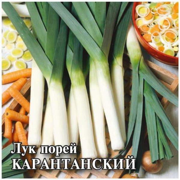 Семена Лук порей Карантанский 10 г