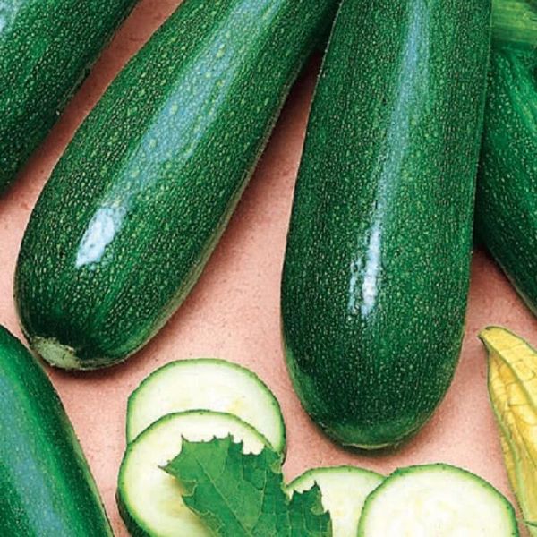 Семена Кабачок Мавр 25 г