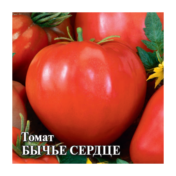 Томат Бычье сердце 25,0 г