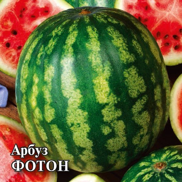 Семена Арбуз Фотон 10 г