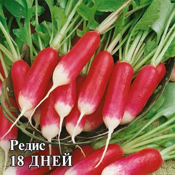 Редис 18 дней 100,0 г