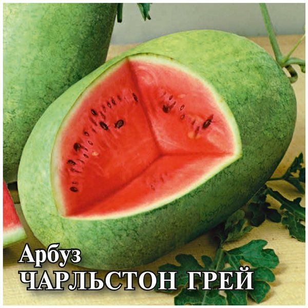 Арбуз Чарльстон Грей 50 г