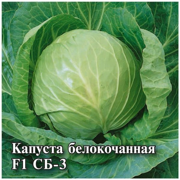 Семена Капуста белокочанная СБ-3  F1 10 г