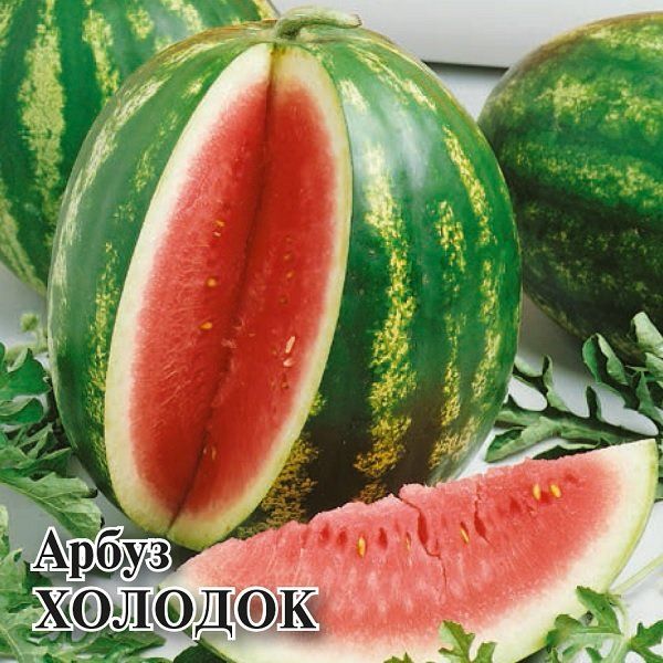 Семена Арбуз Холодок 10 г