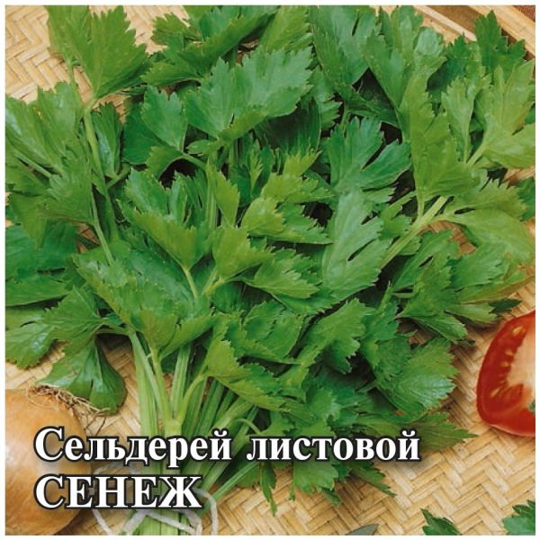 Семена Сельдерей листовой Сенеж 5 г