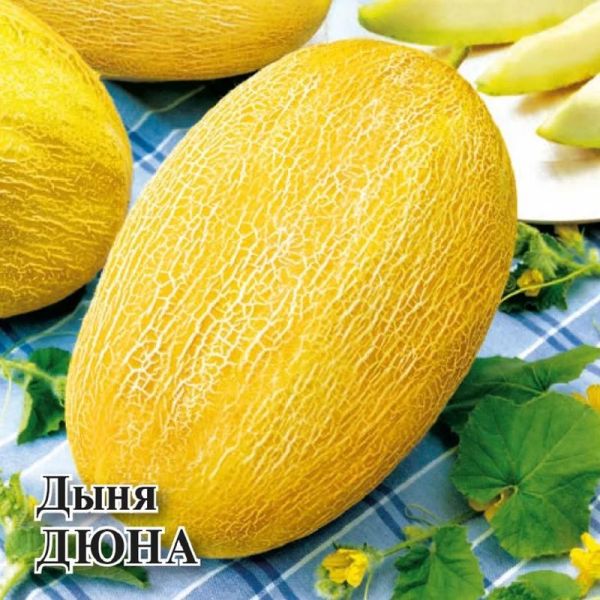 Семена Дыня Дюна 25 г
