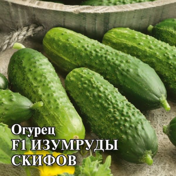 Семена Огурец Изумруды скифов 500 шт